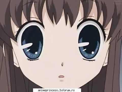 tohru honda